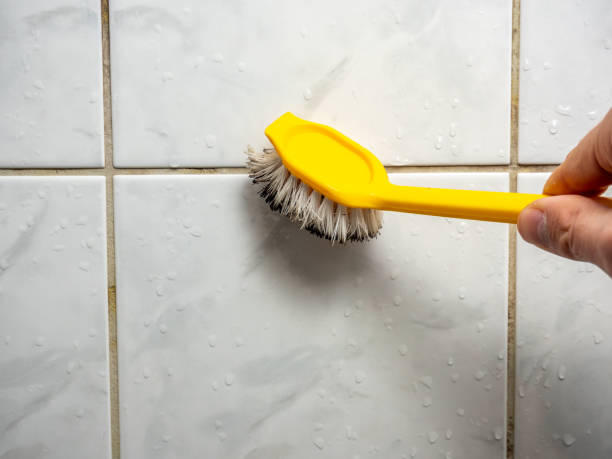 Best Attic Mold Removal  in Tri Lakes, IN