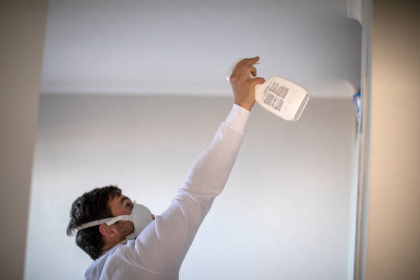 Best Mold Remediation  in Tri Lakes, IN