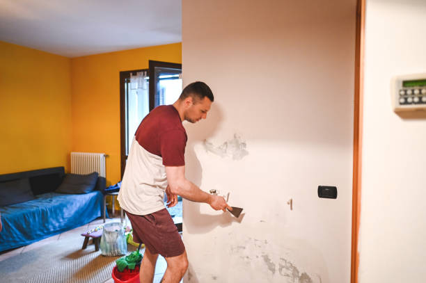 Best Toxic Mold Removal  in Tri Lakes, IN