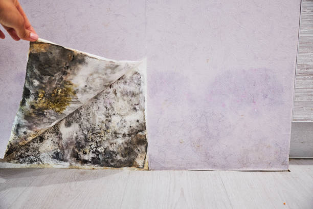 Water Damage Restoration in Tri Lakes, IN